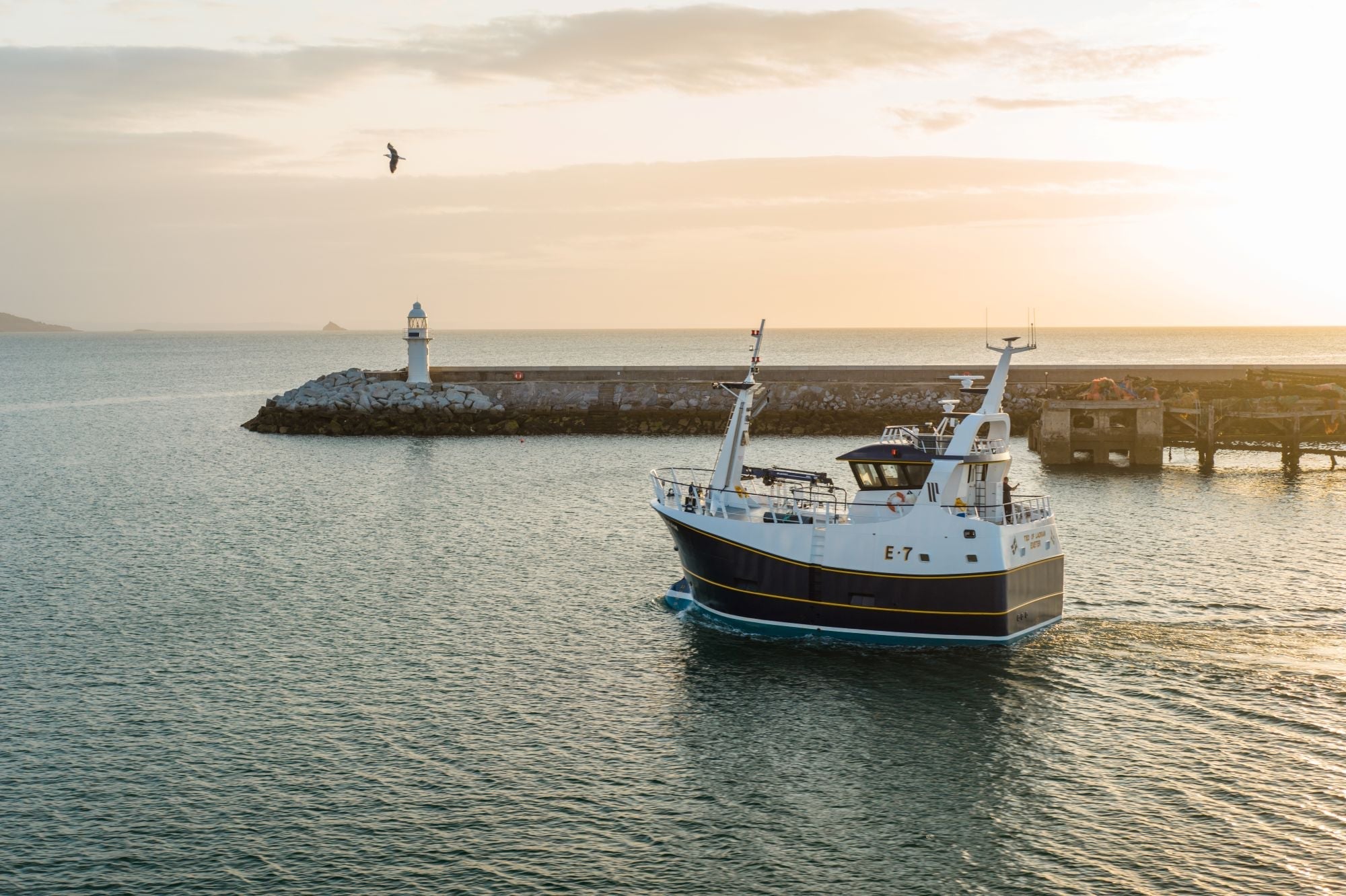 Introducing our new Whelker - the Ted of Ladram