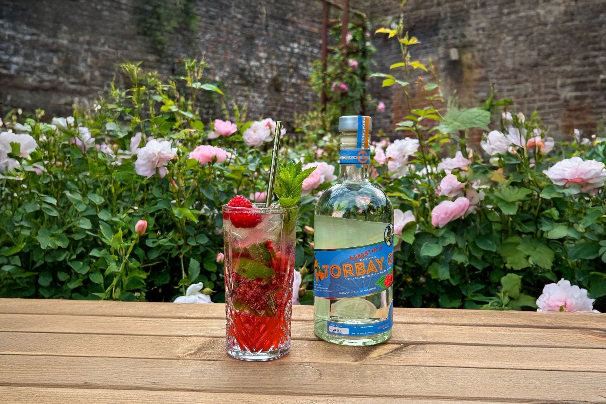 Raspberry Gin Mojito
