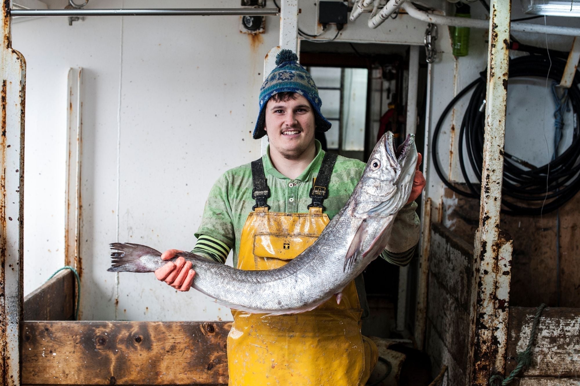 Alternatives to Cod - Sustainable Hake