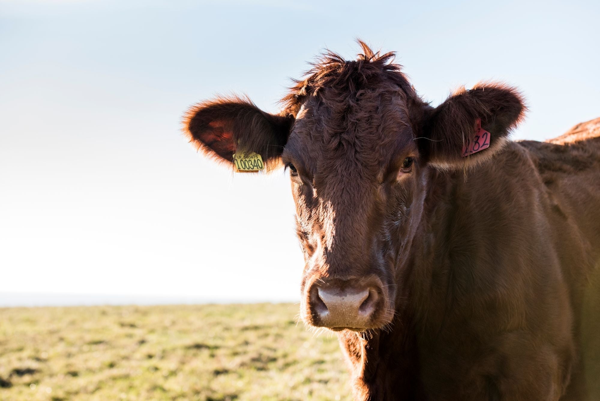 Farming for the Future