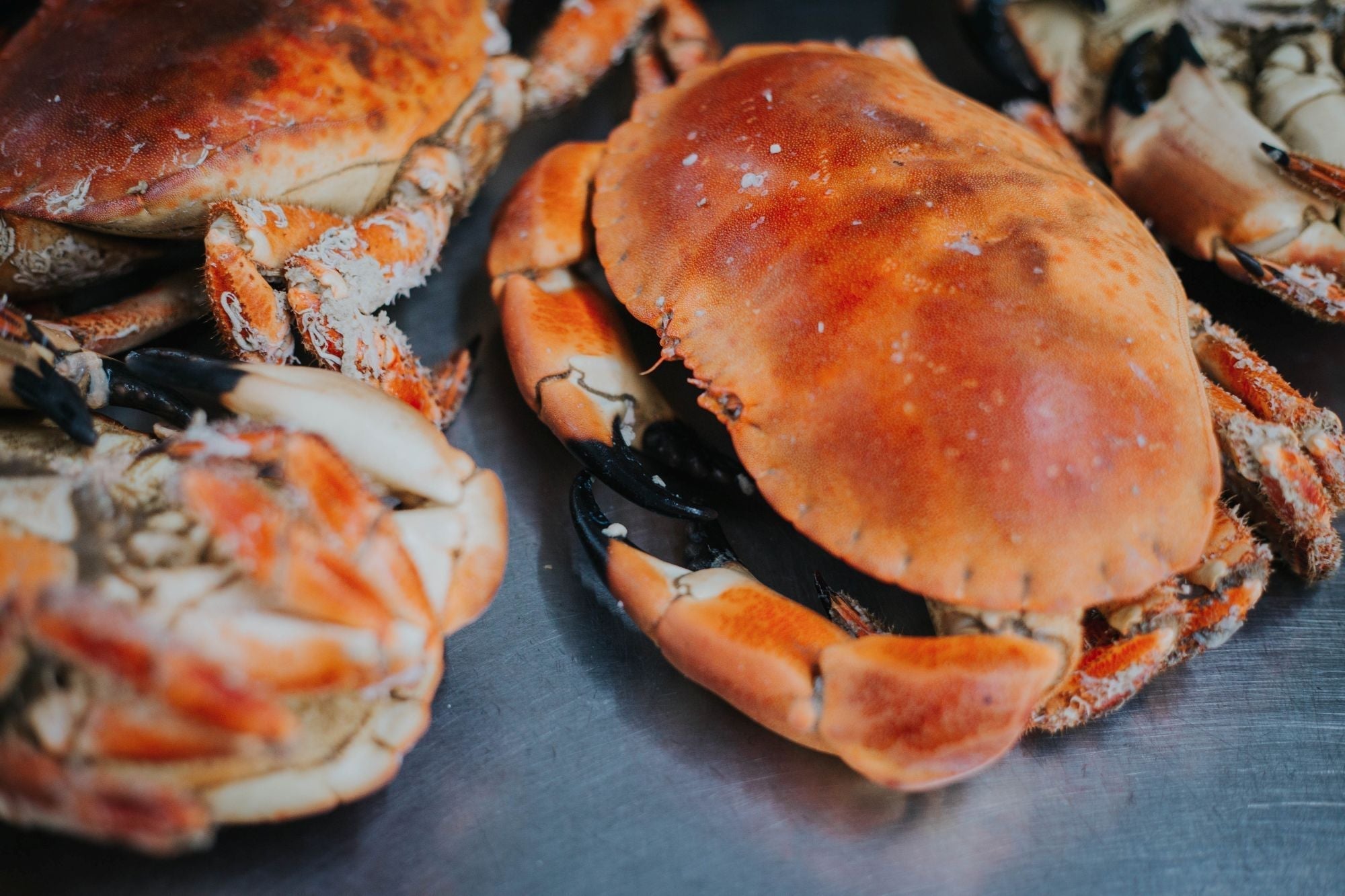 How to Crack a Crab (Video)