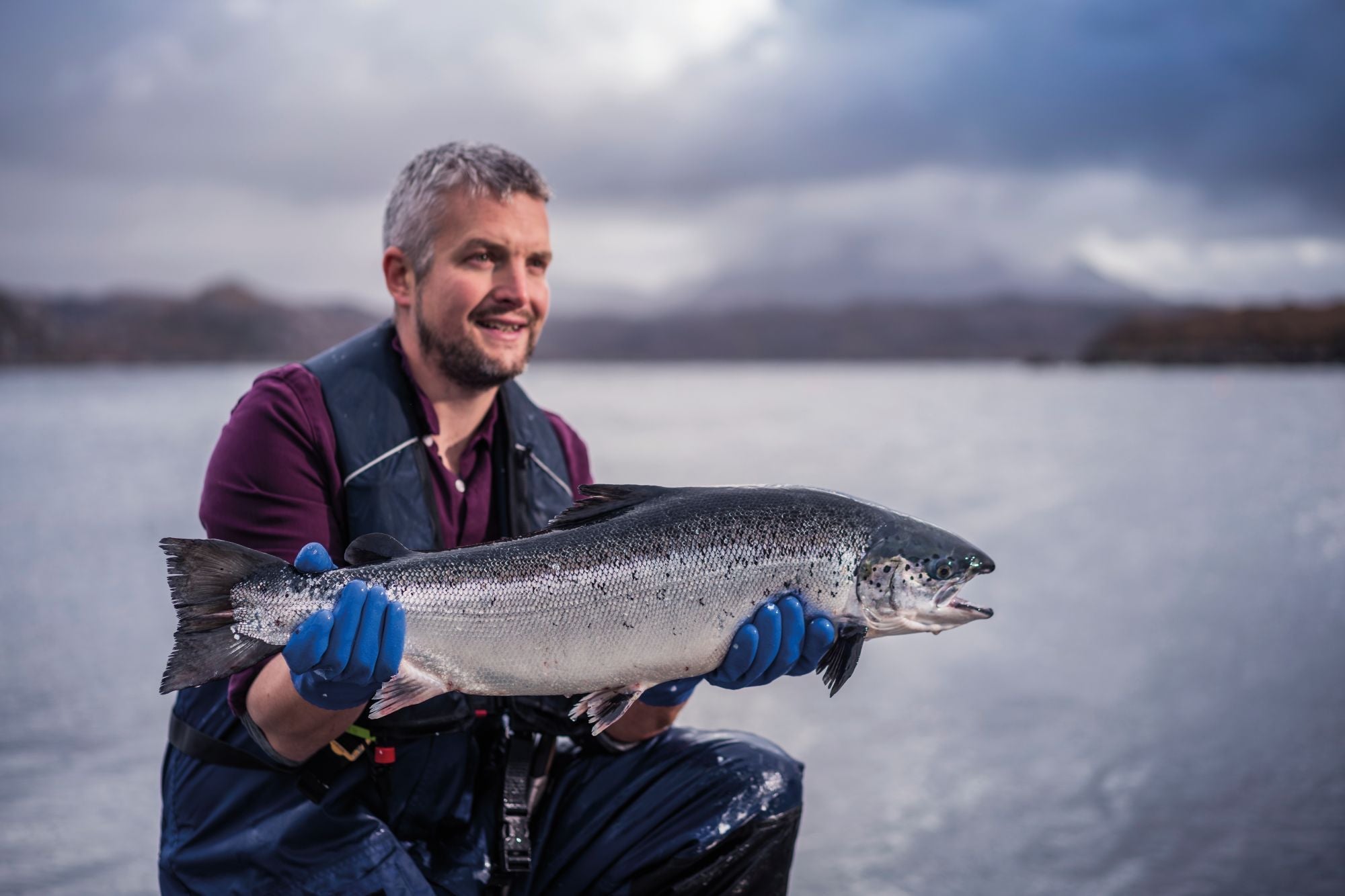 Superb Scottish Salmon from Loch Duart