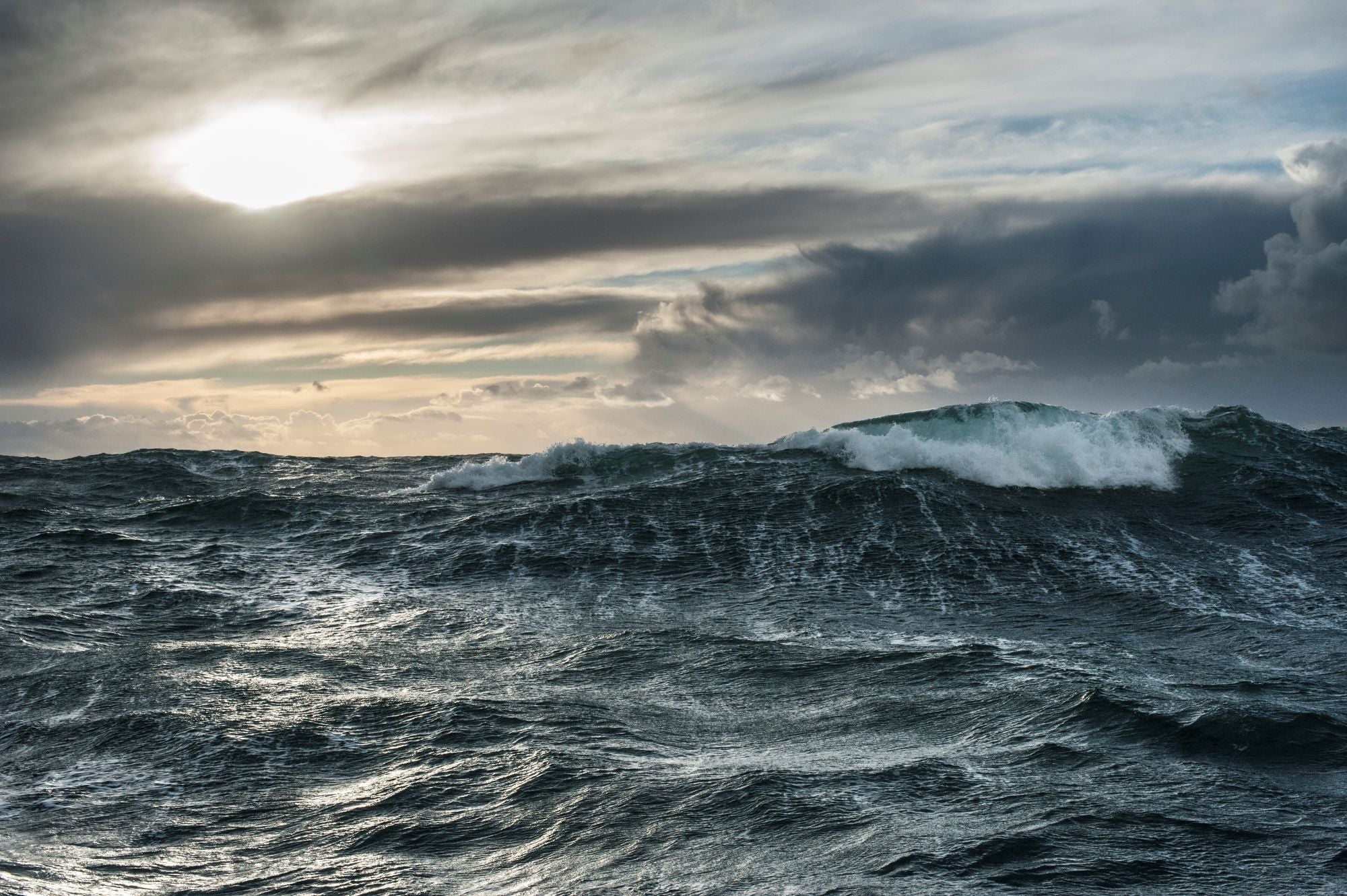 Helping to Clean Up Our Seas