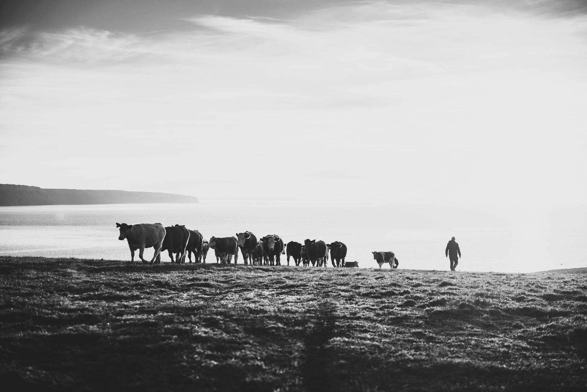 Supporting the Farming Community