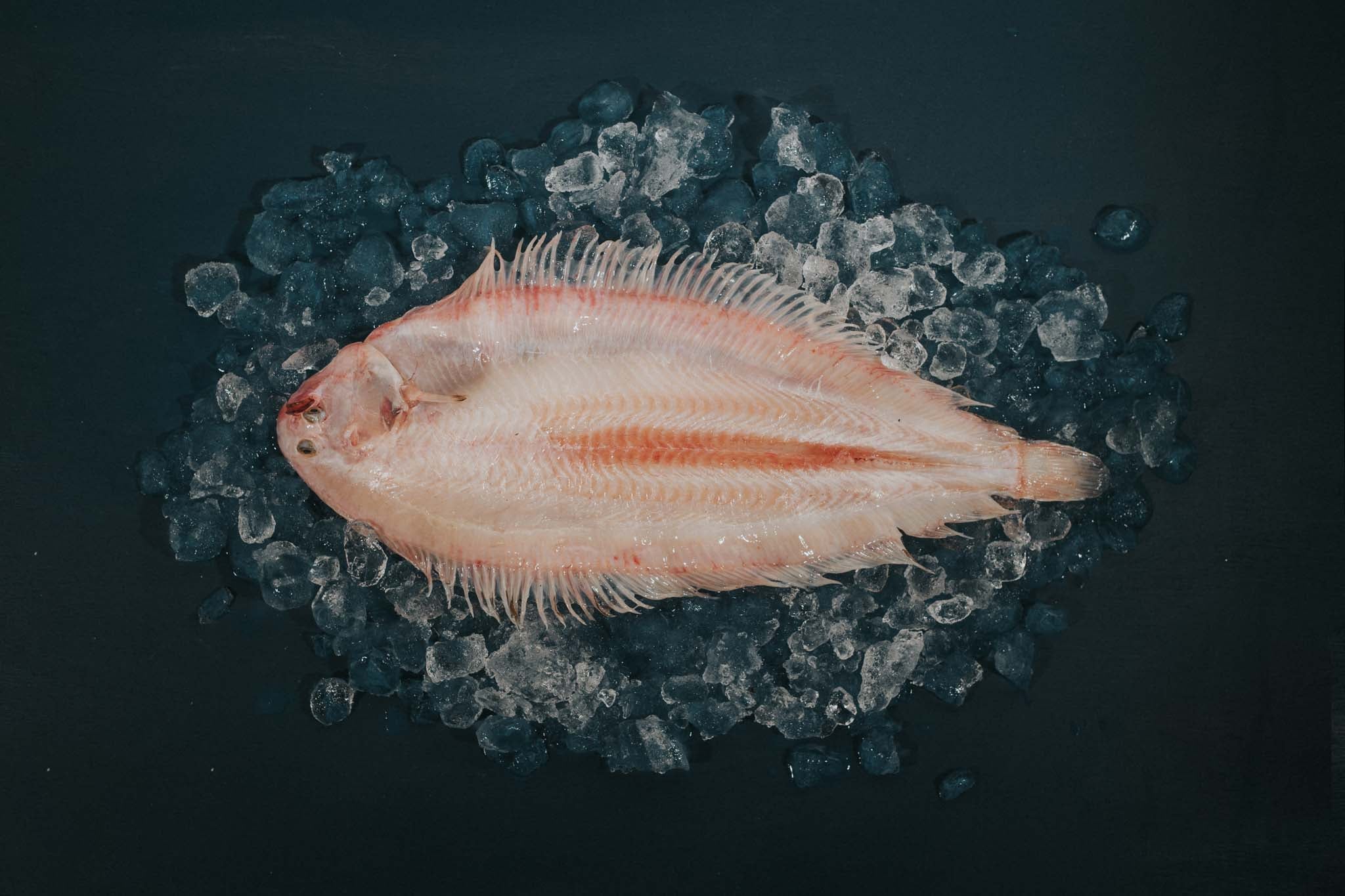 Dover Sole