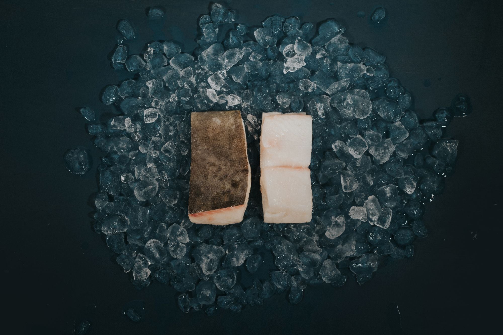 Halibut