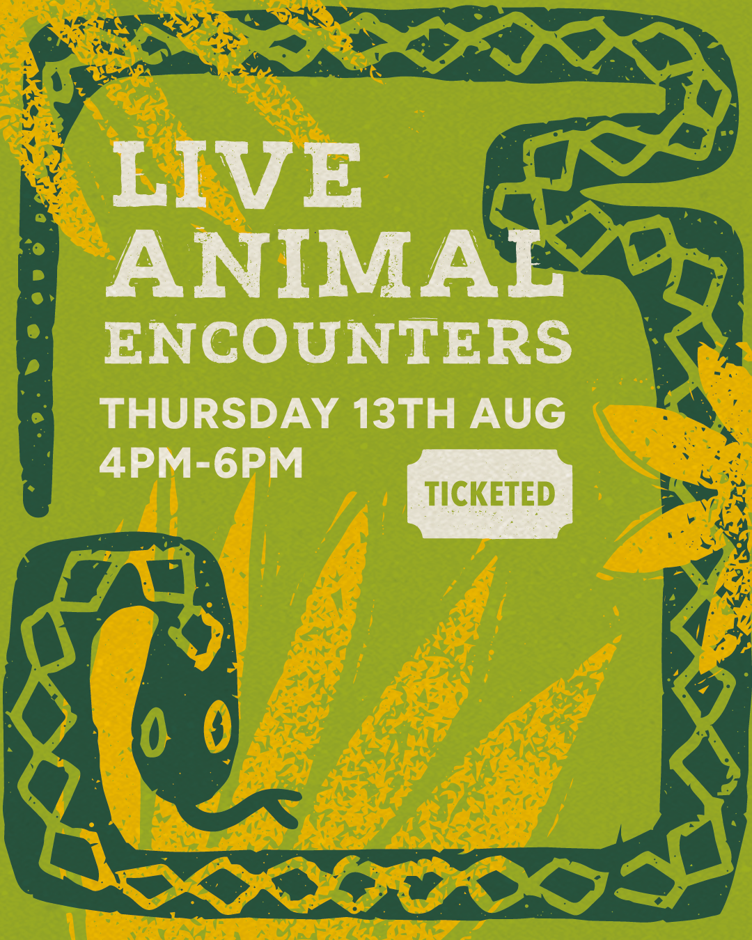 Live Animal Encounter | Thursday 13th August