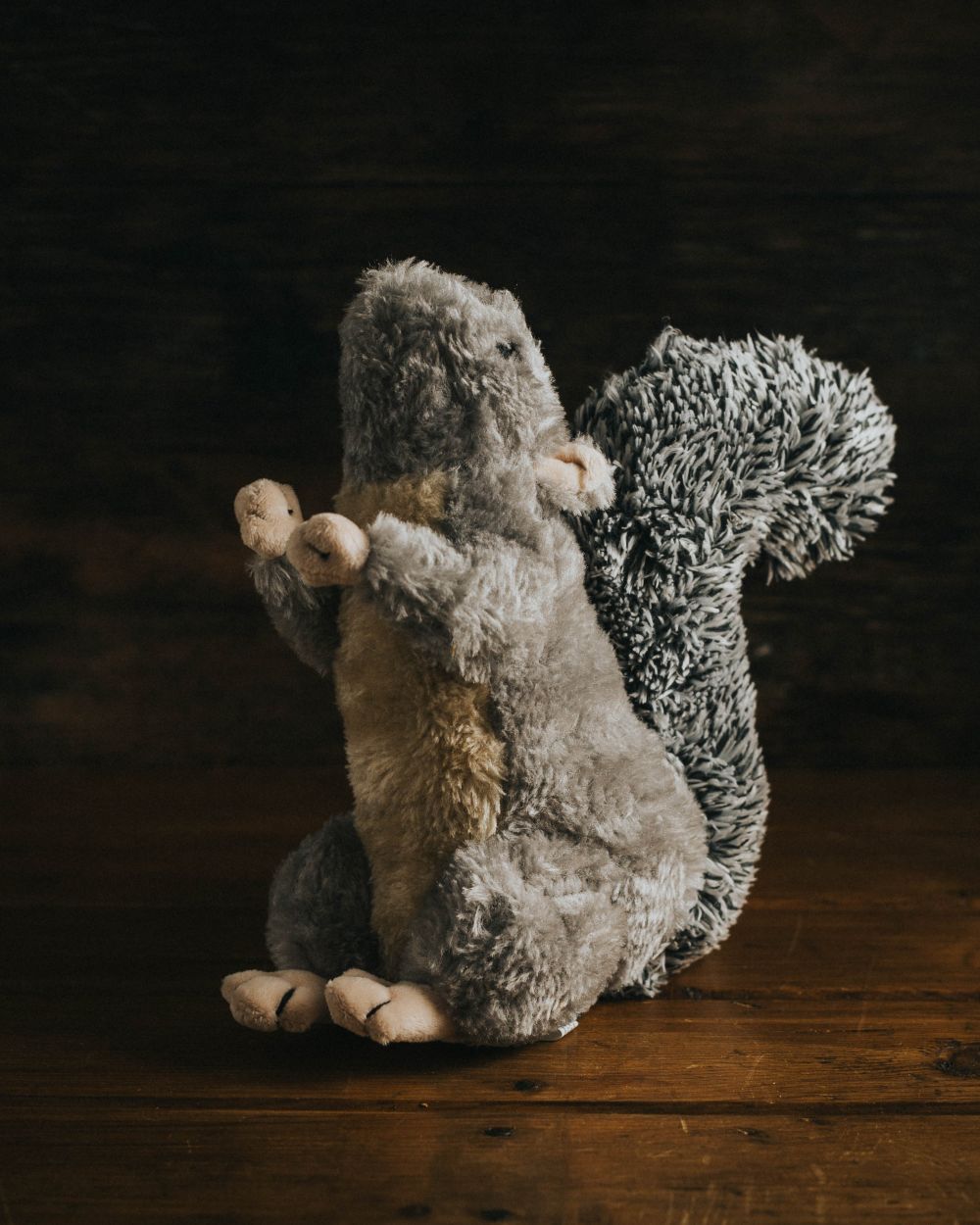 Cyril Squirrel Plush Dog Toy