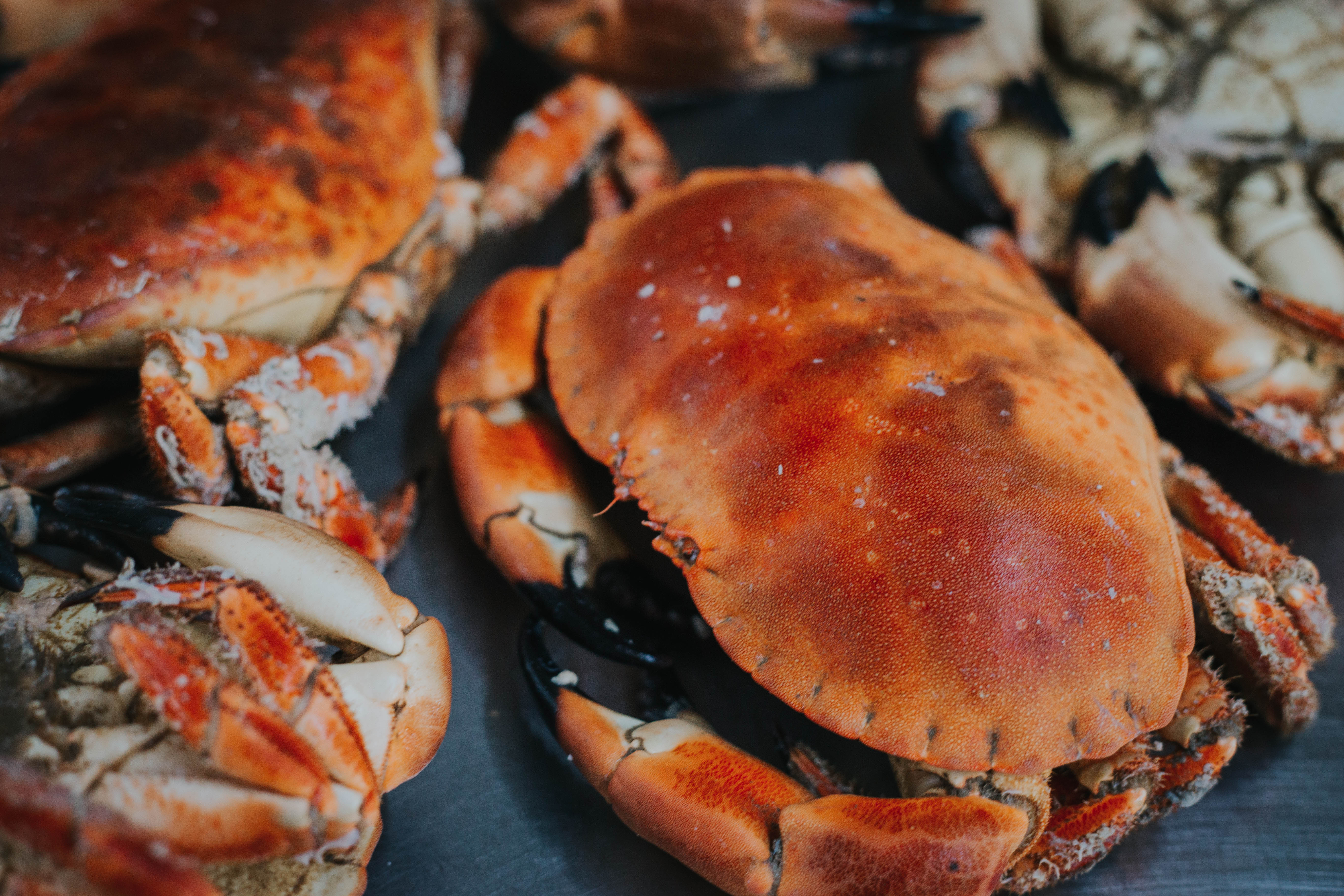 Cooked Locally Caught Cock Crab