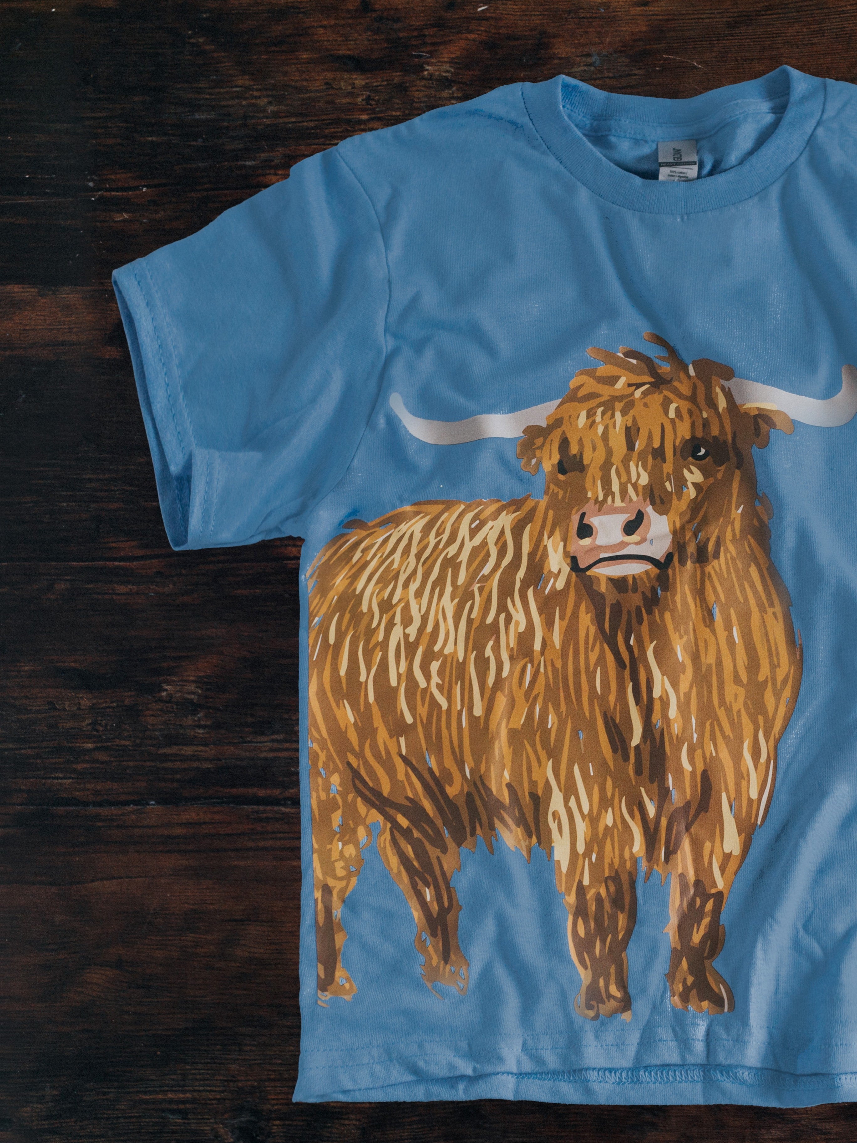 Greendale Highland Cow T-Shirt - Blue