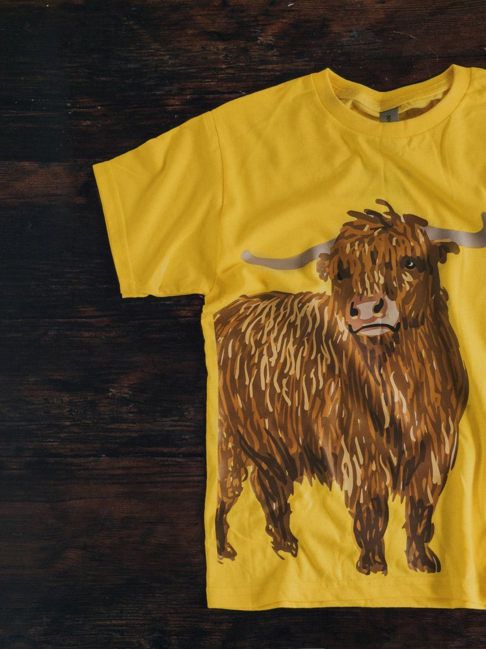 Greendale Highland Cow T-Shirt - Yellow