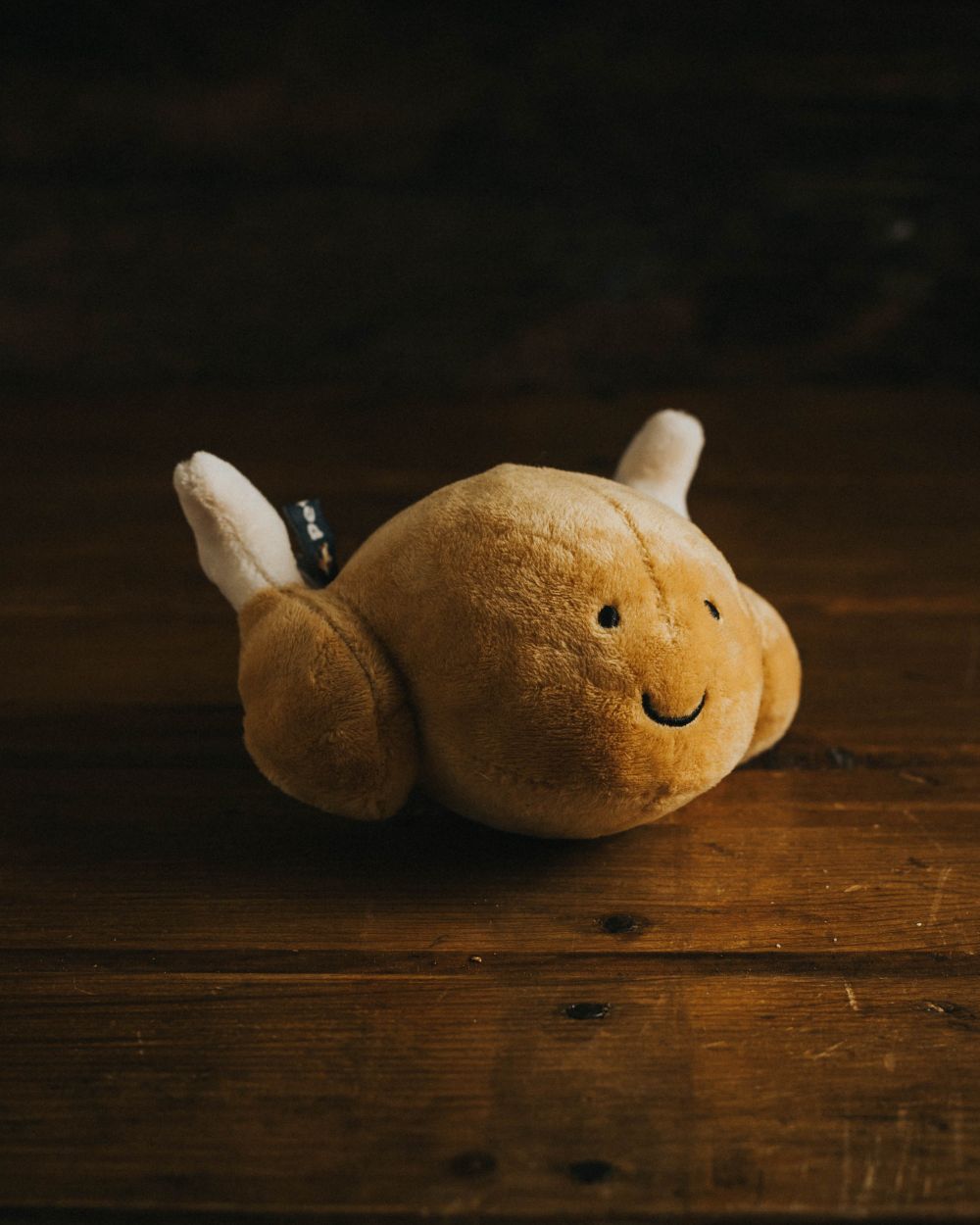Roast Chicken Plush Dog Toy