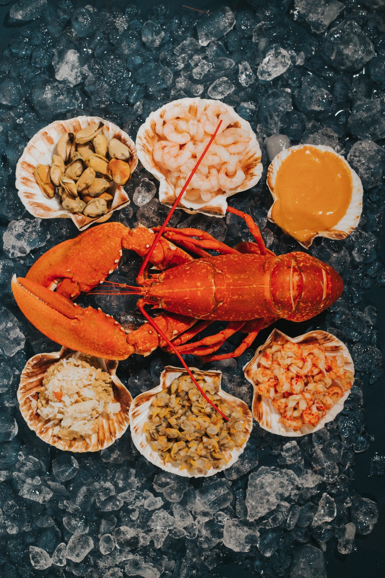 Lobster Seafood Selection