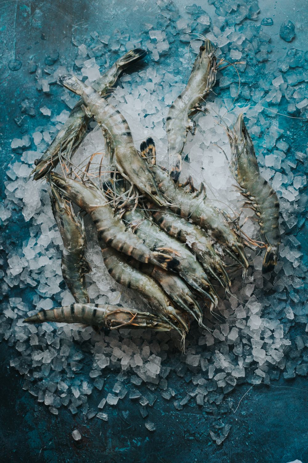 Frozen Black Tiger Prawns (By Pack Size)