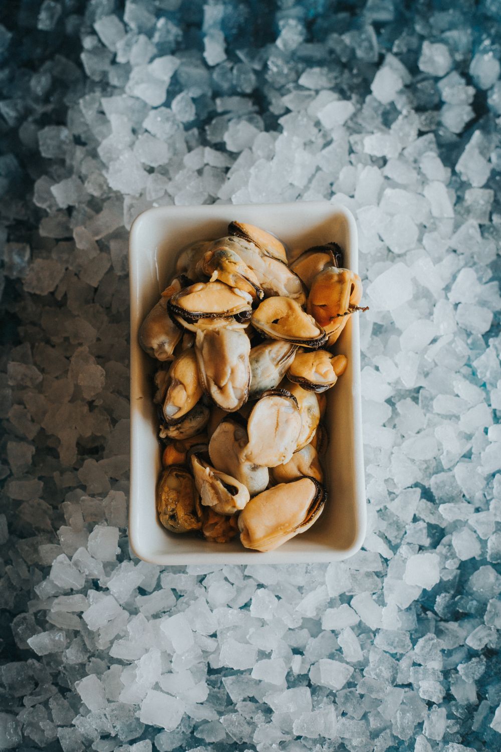 Cooked Mussel Meat