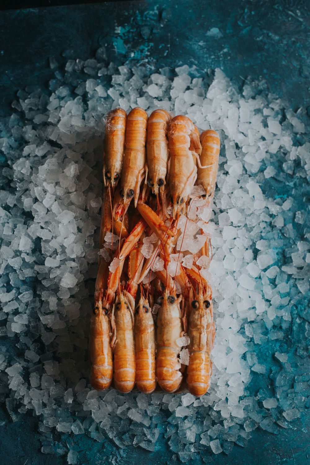 Langoustines