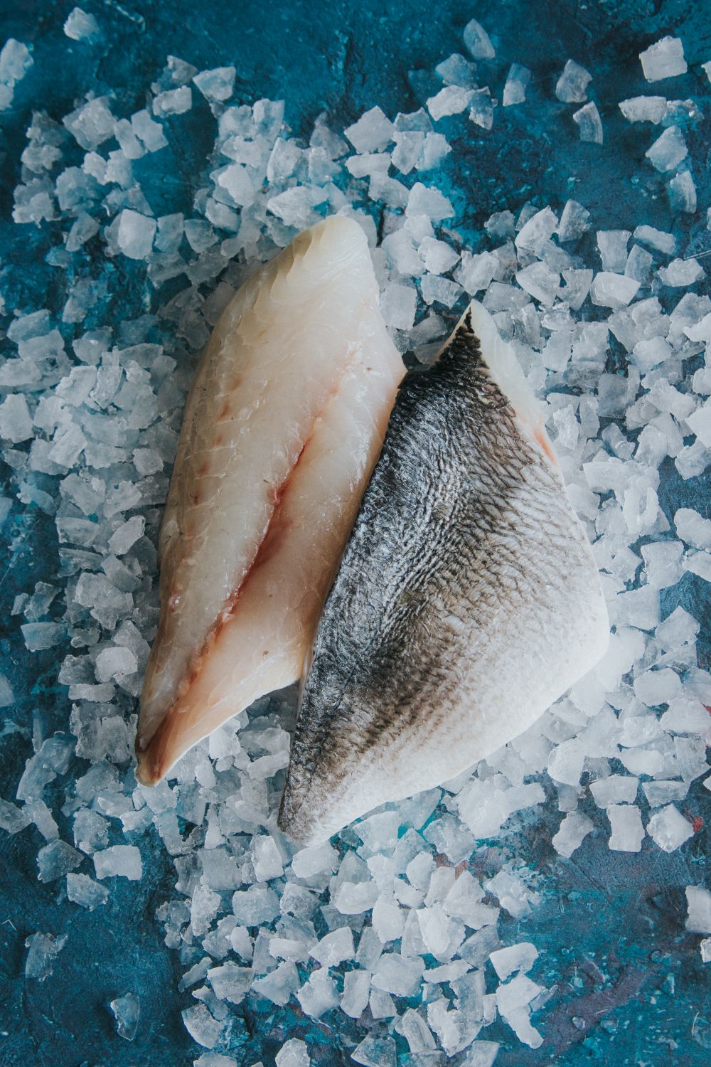 Gilt Head Bream Fillets