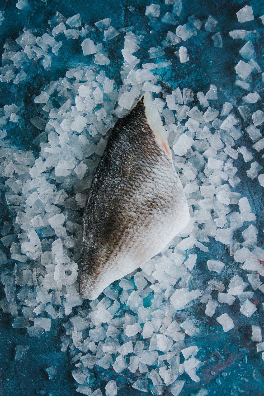 Gilt Head Bream, Headed & Trimmed