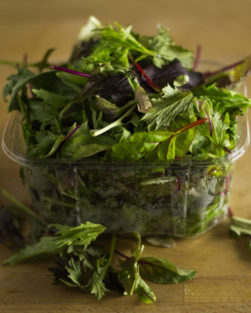 Pre-packed Greendale baby leaf salad