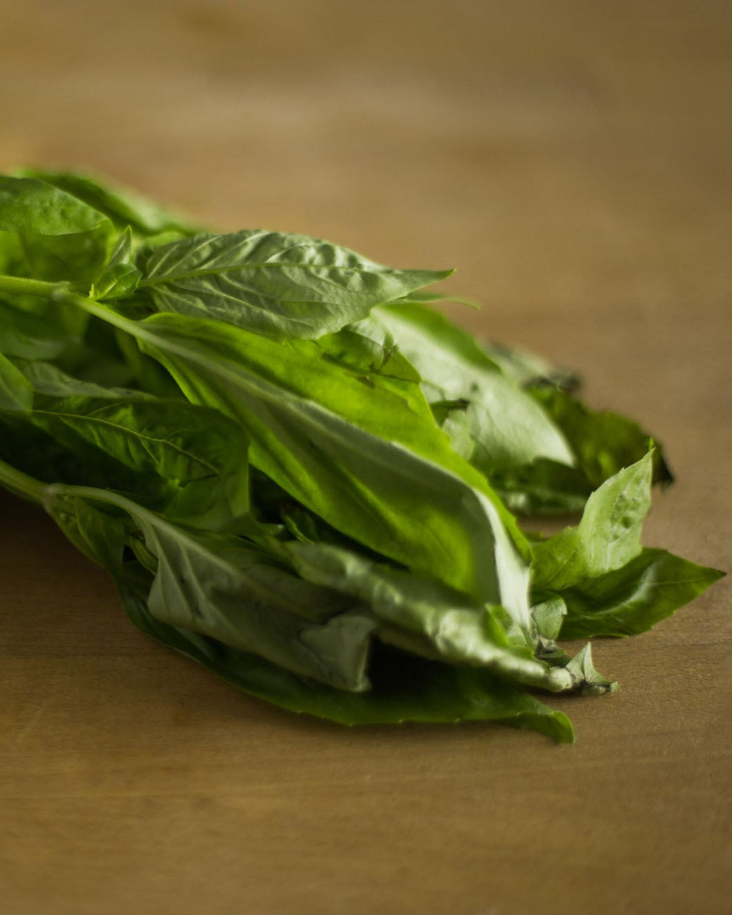 Pre-packed Greendale basil