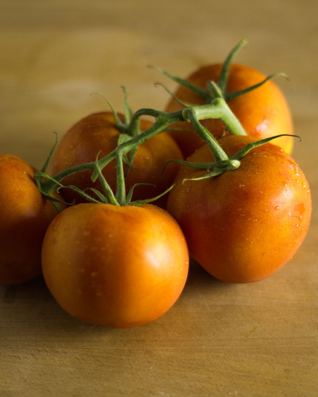 Beef Tomatoes