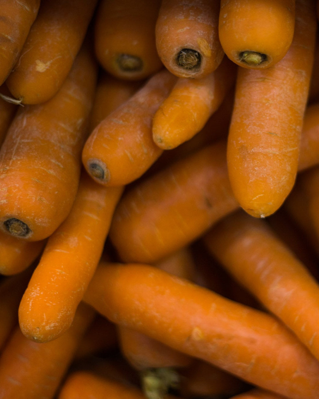 Carrots