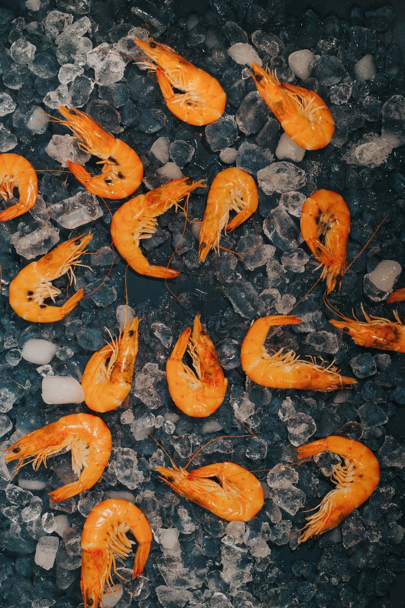 Greendale Cooked Crevettes