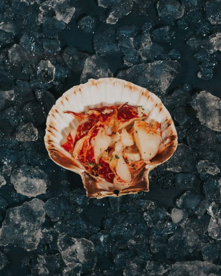 Greendale Lobster Meat