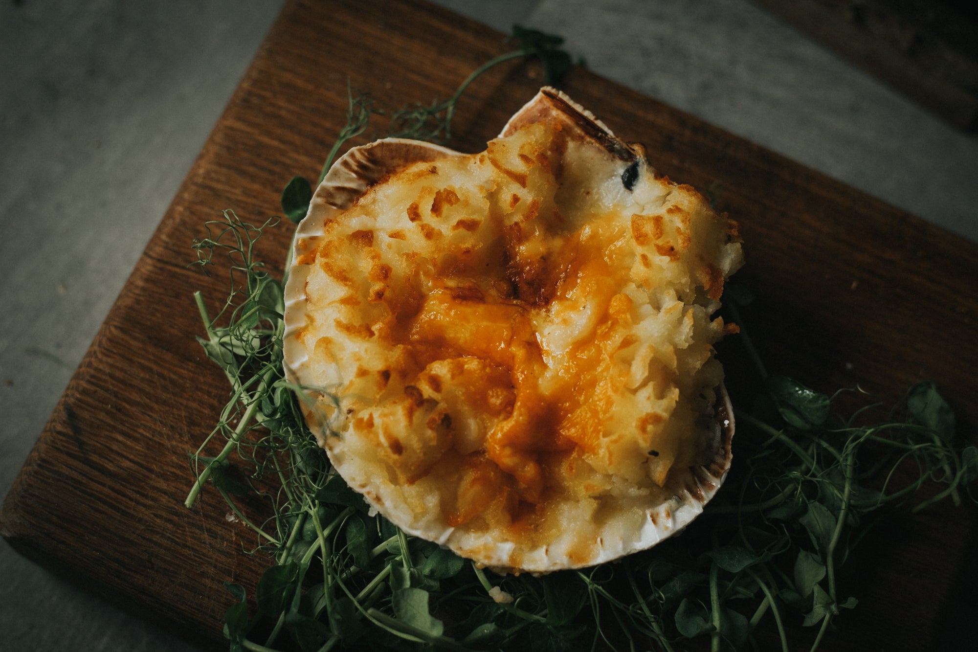 Coquille St. Jacques