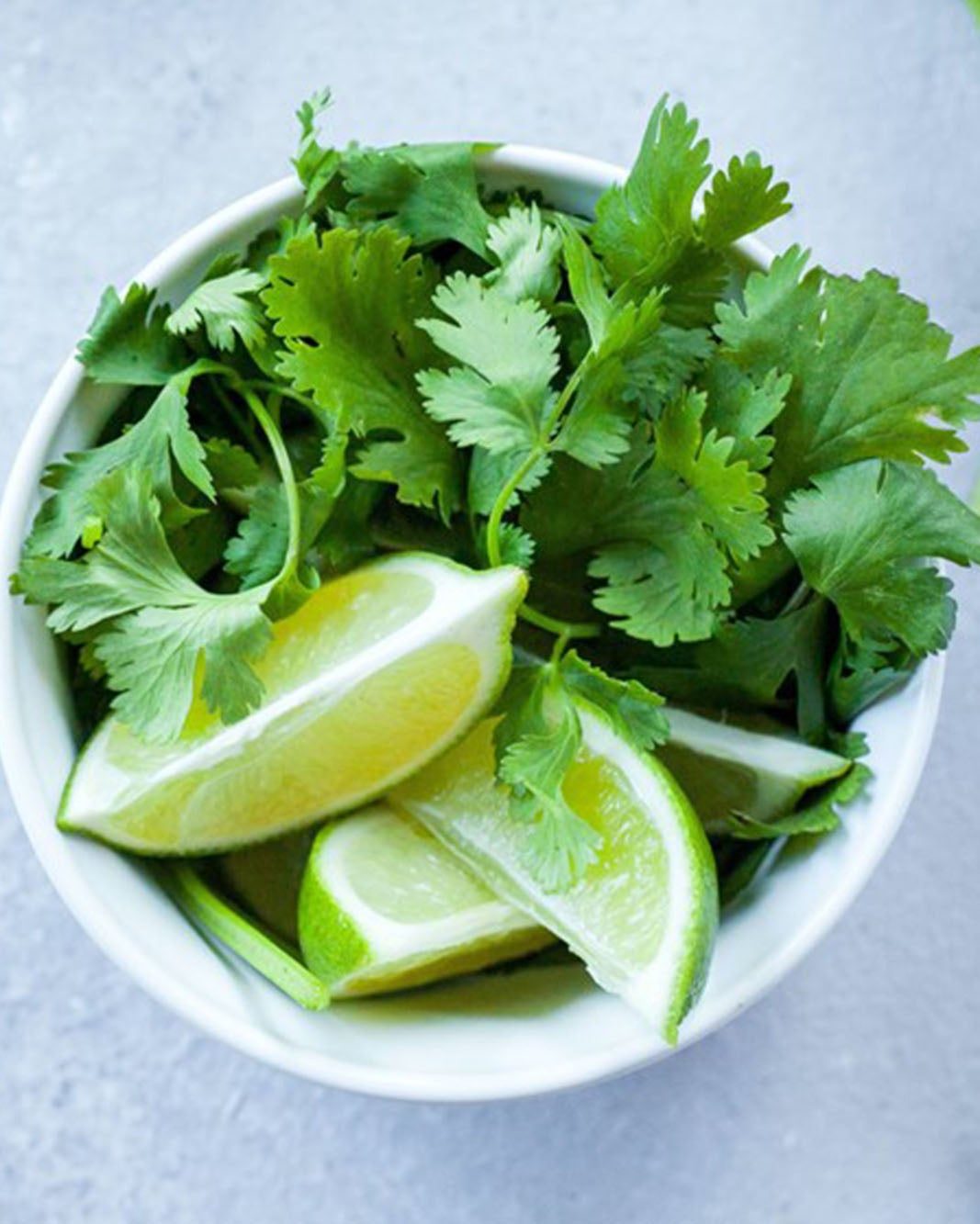 Pre-packed Greendale coriander