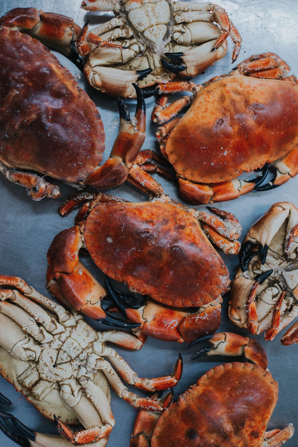 Cooked Locally Caught Hen Crab