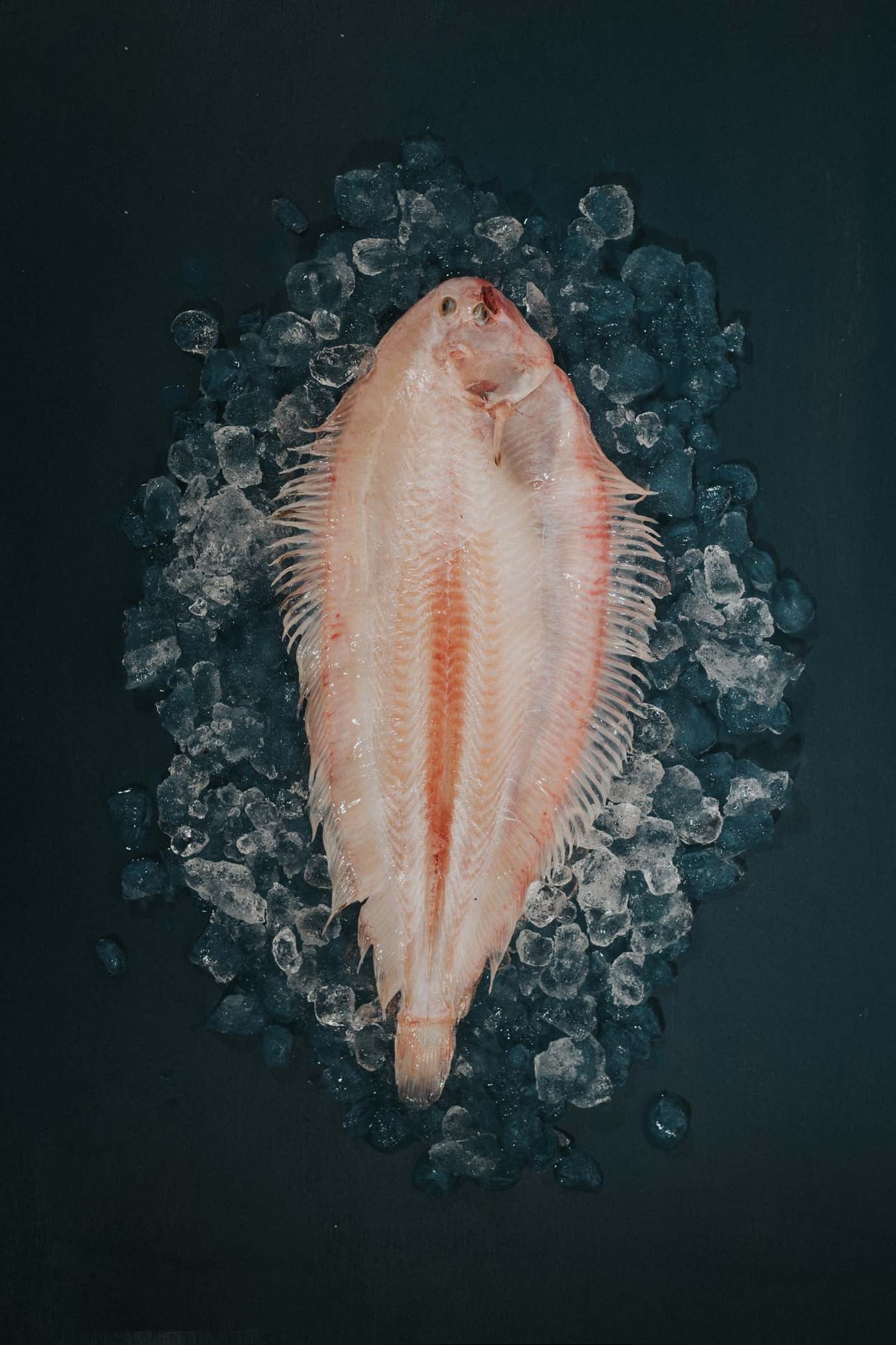 Greendale Whole Dover Sole Skinned And Trimmed
