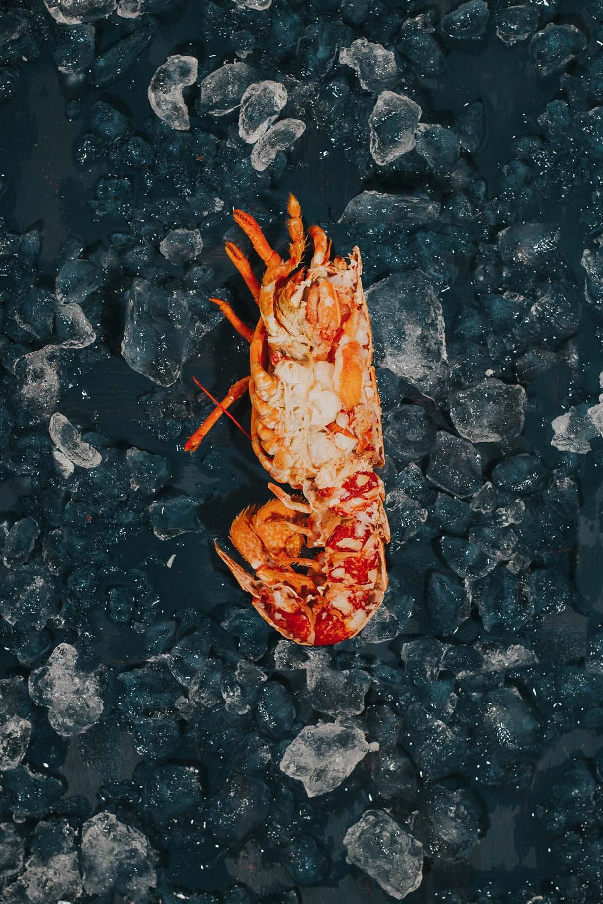 Greendale Dressed Lobster