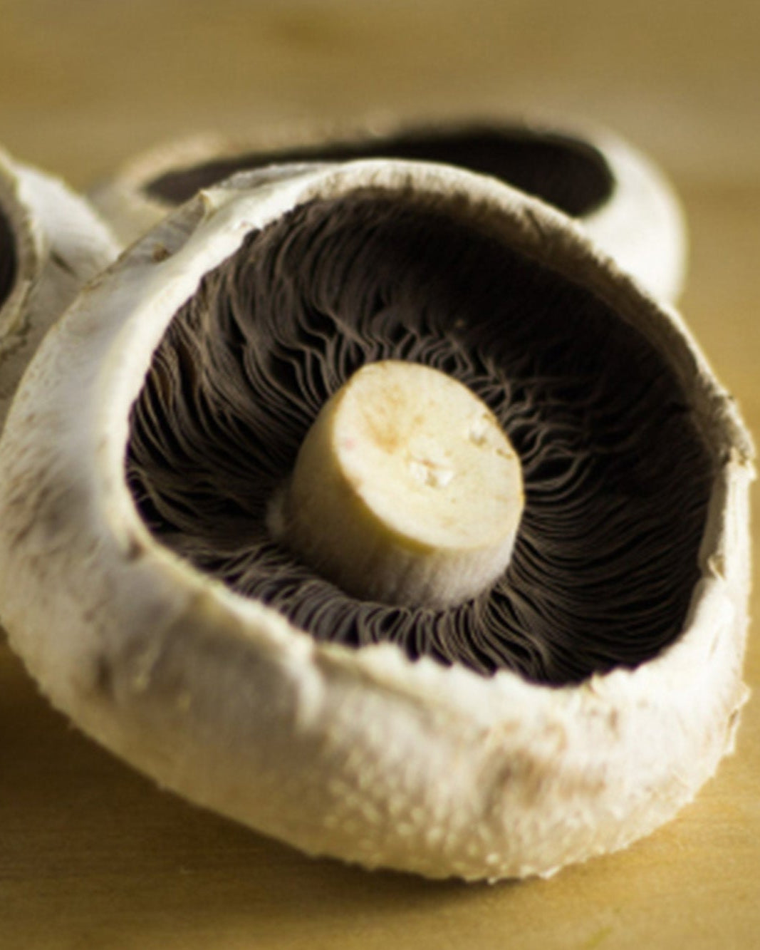 Greendale flat mushrooms