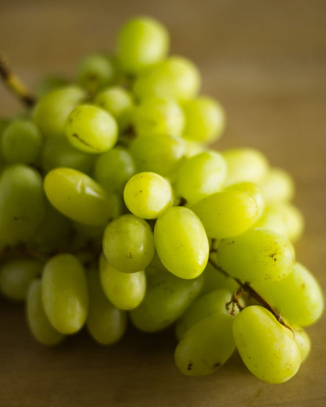 Greendale green grapes