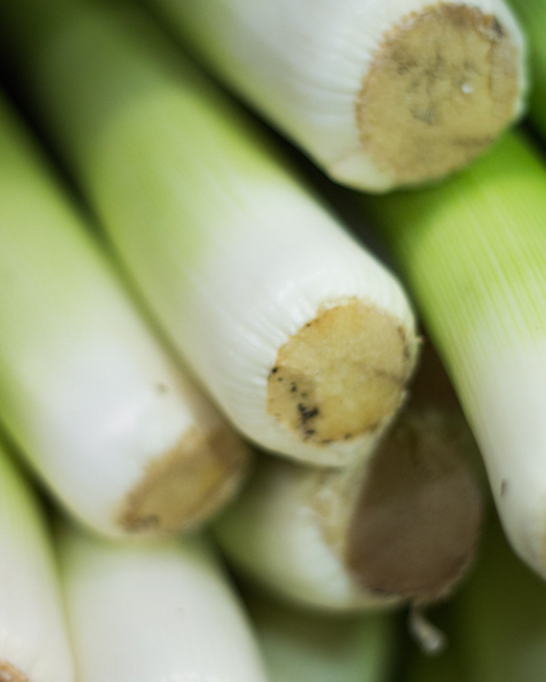 Leeks