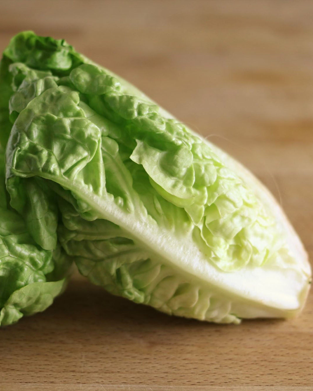 A pack of two little gem Greendale lettuces