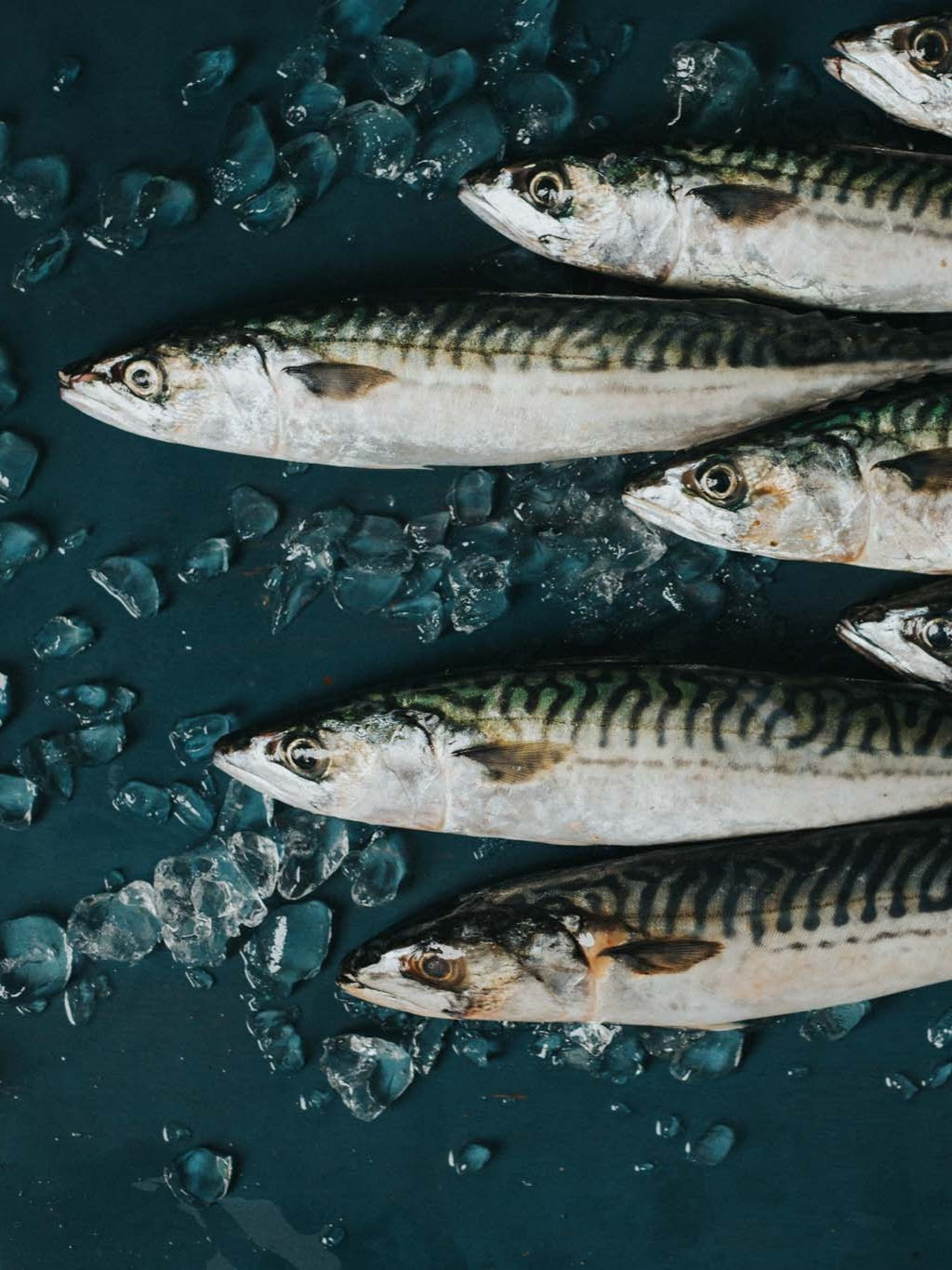 Smoked Mackerel Fillets