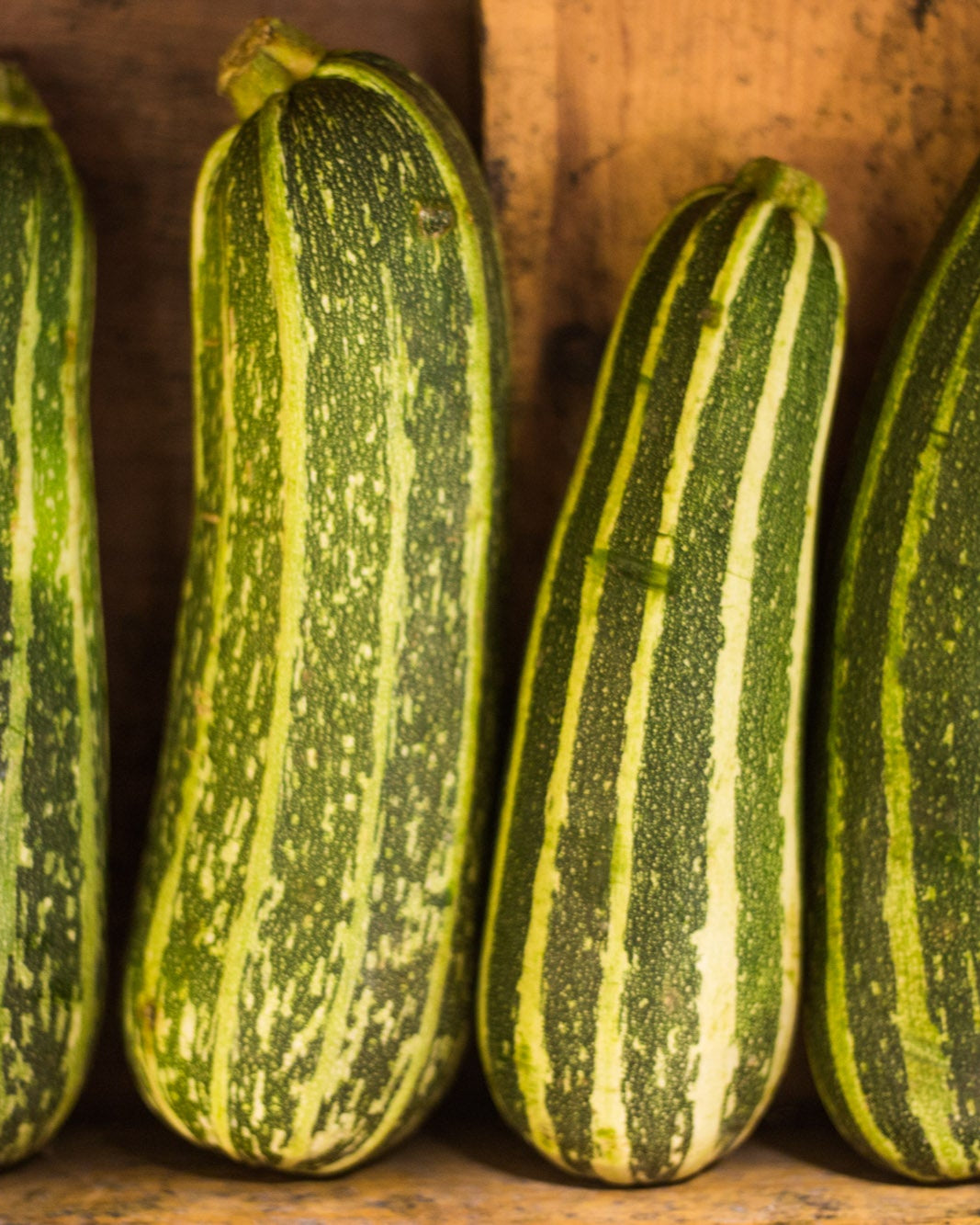 Marrow