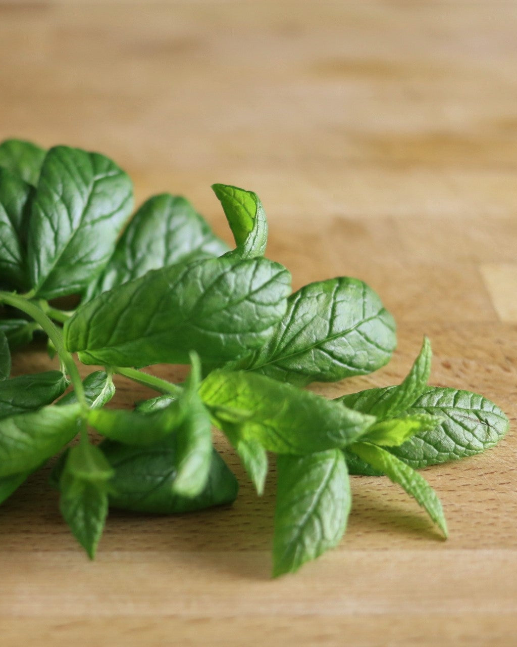 Mint (Pre-Packed)