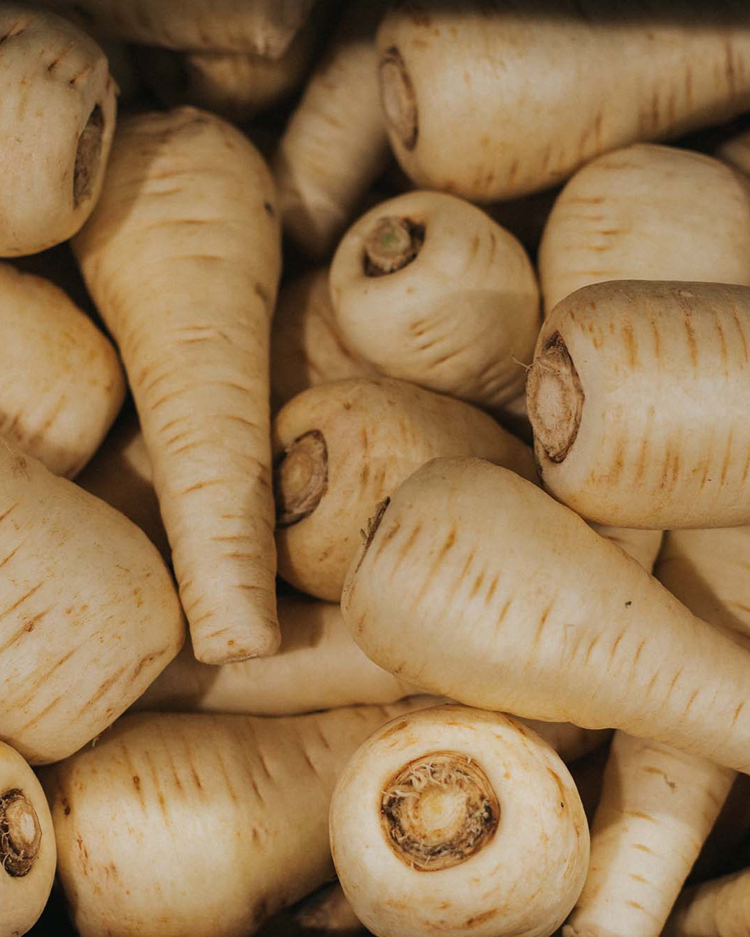 Greendale parsnips