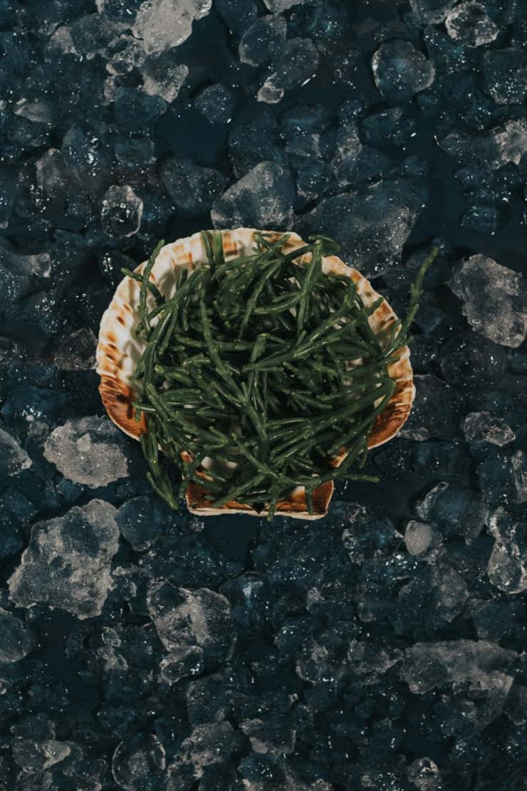 Samphire