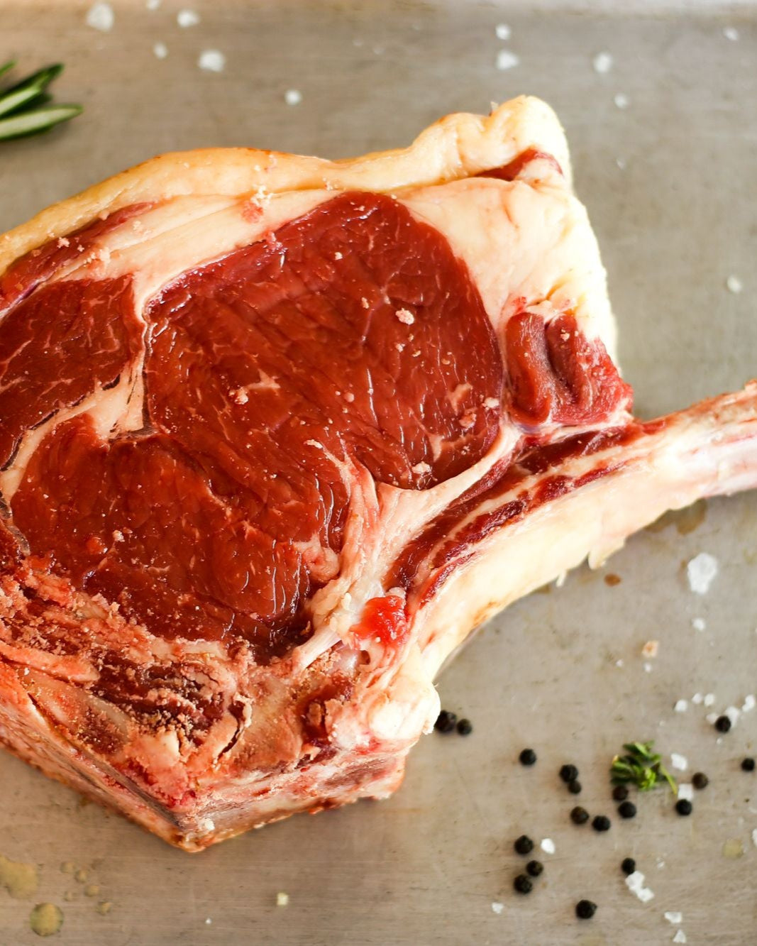 Single Bone Rib of Beef