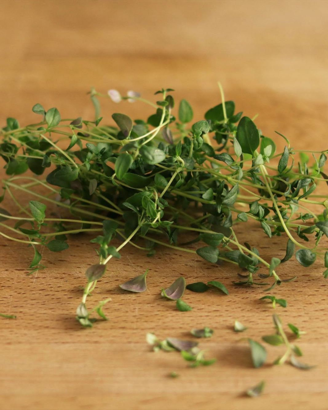 Pre-packed Greendale thyme