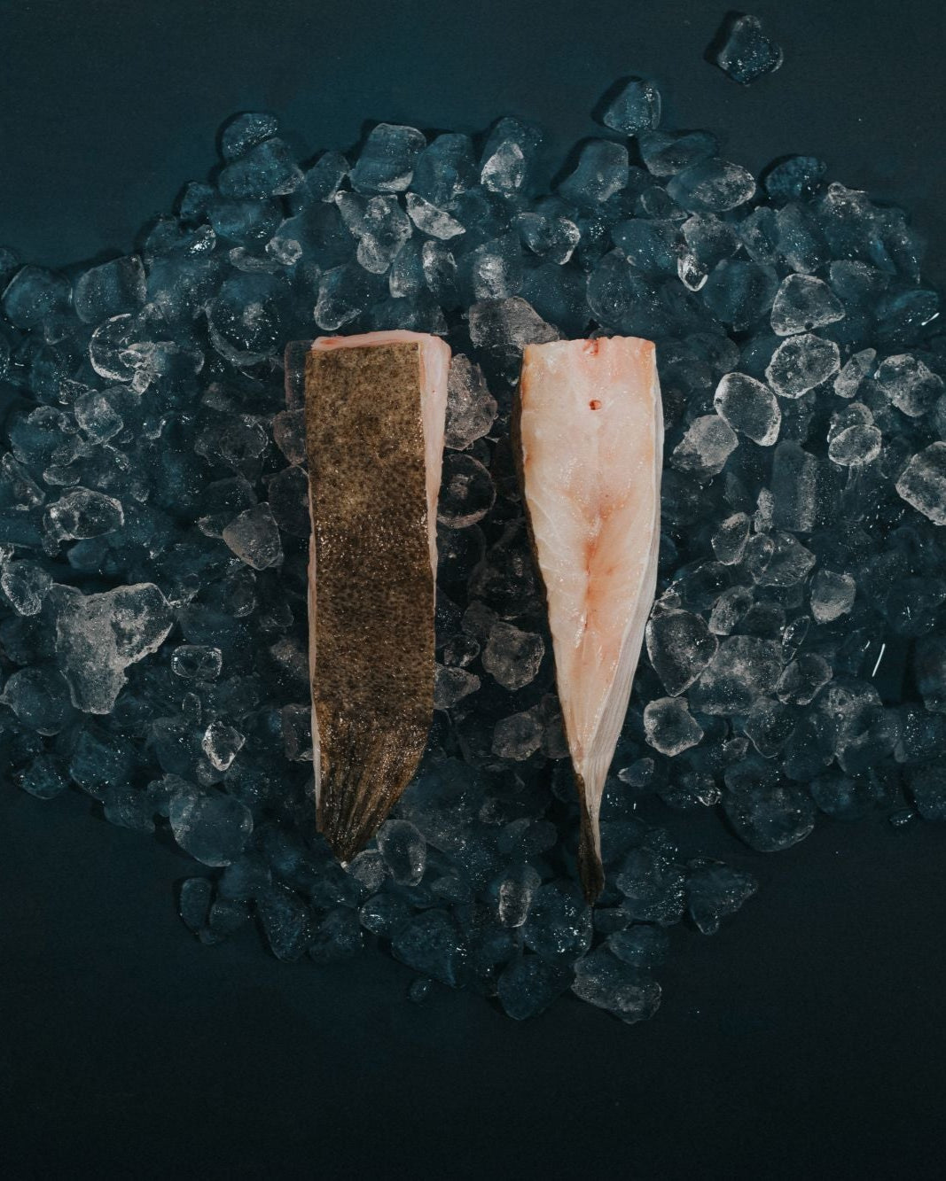Greendale Turbot Steaks