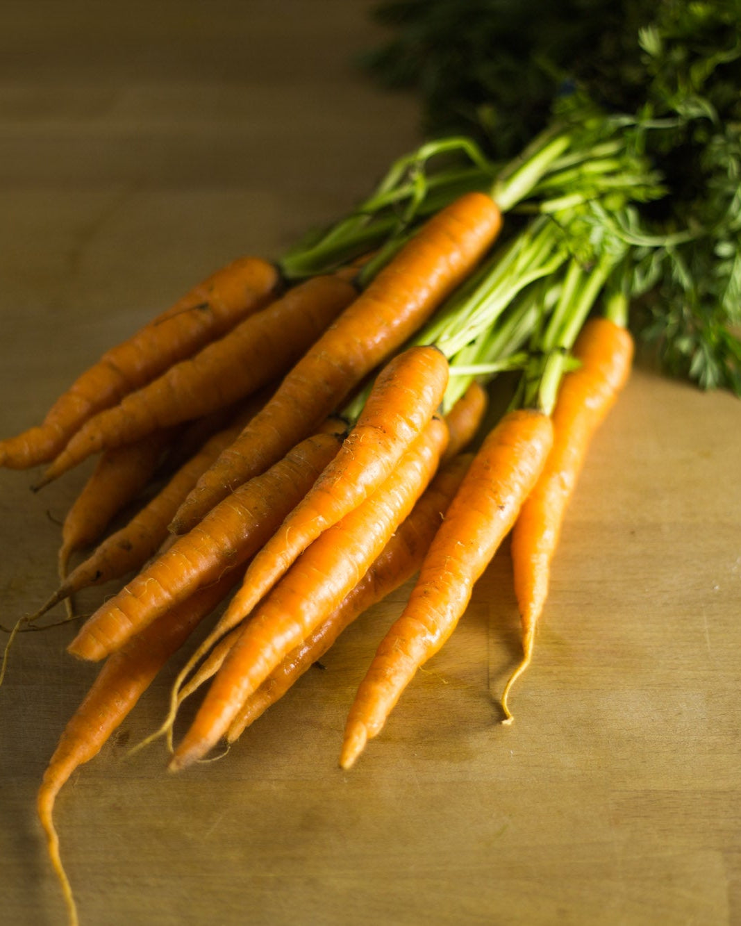 Bunched Carrots