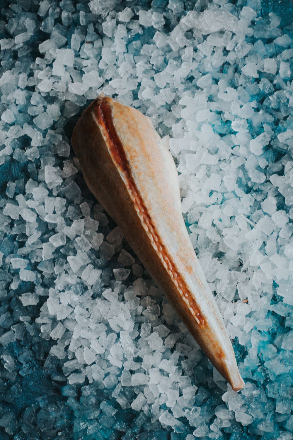 Gurnard (Headed & Trimmed)