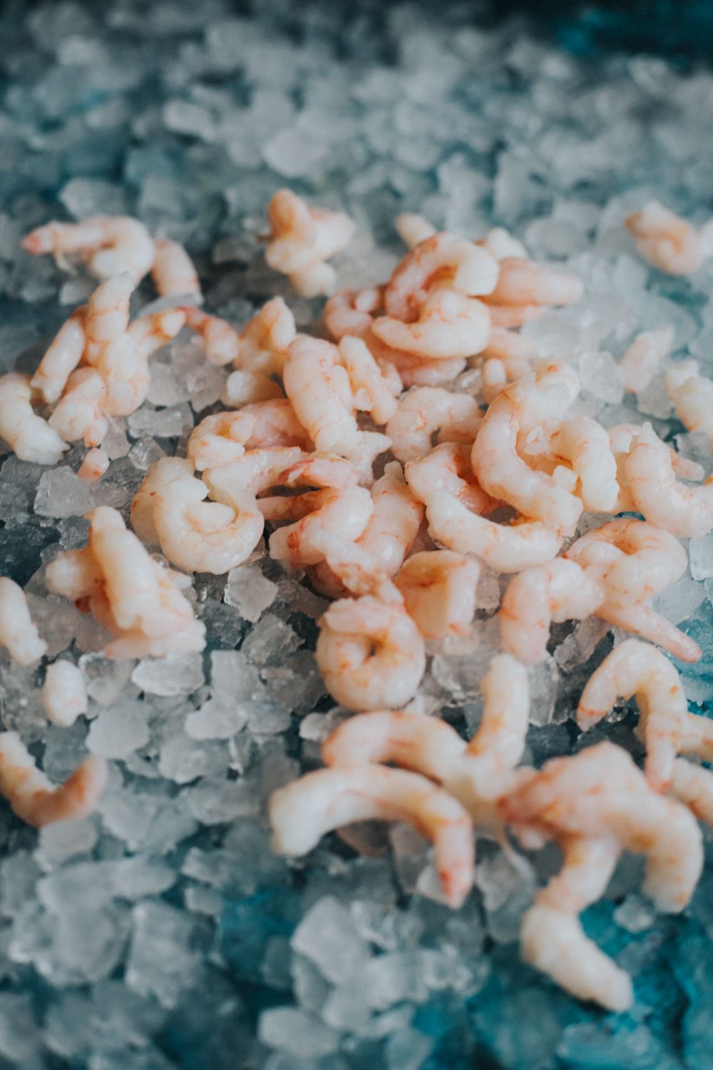 Luxury Cooked & Peeled Prawns