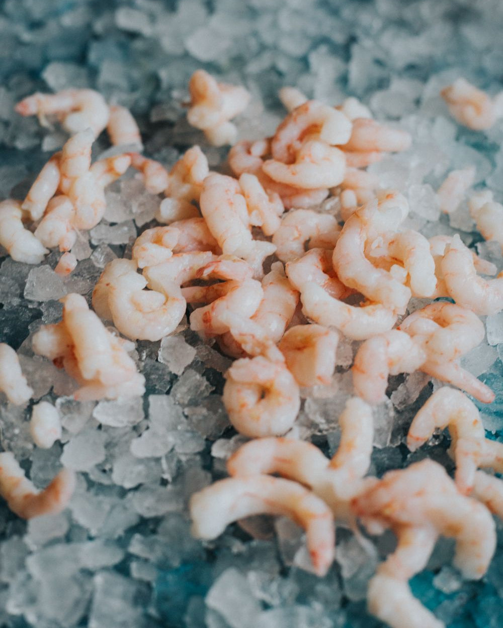 Luxury Cooked & Peeled Prawns