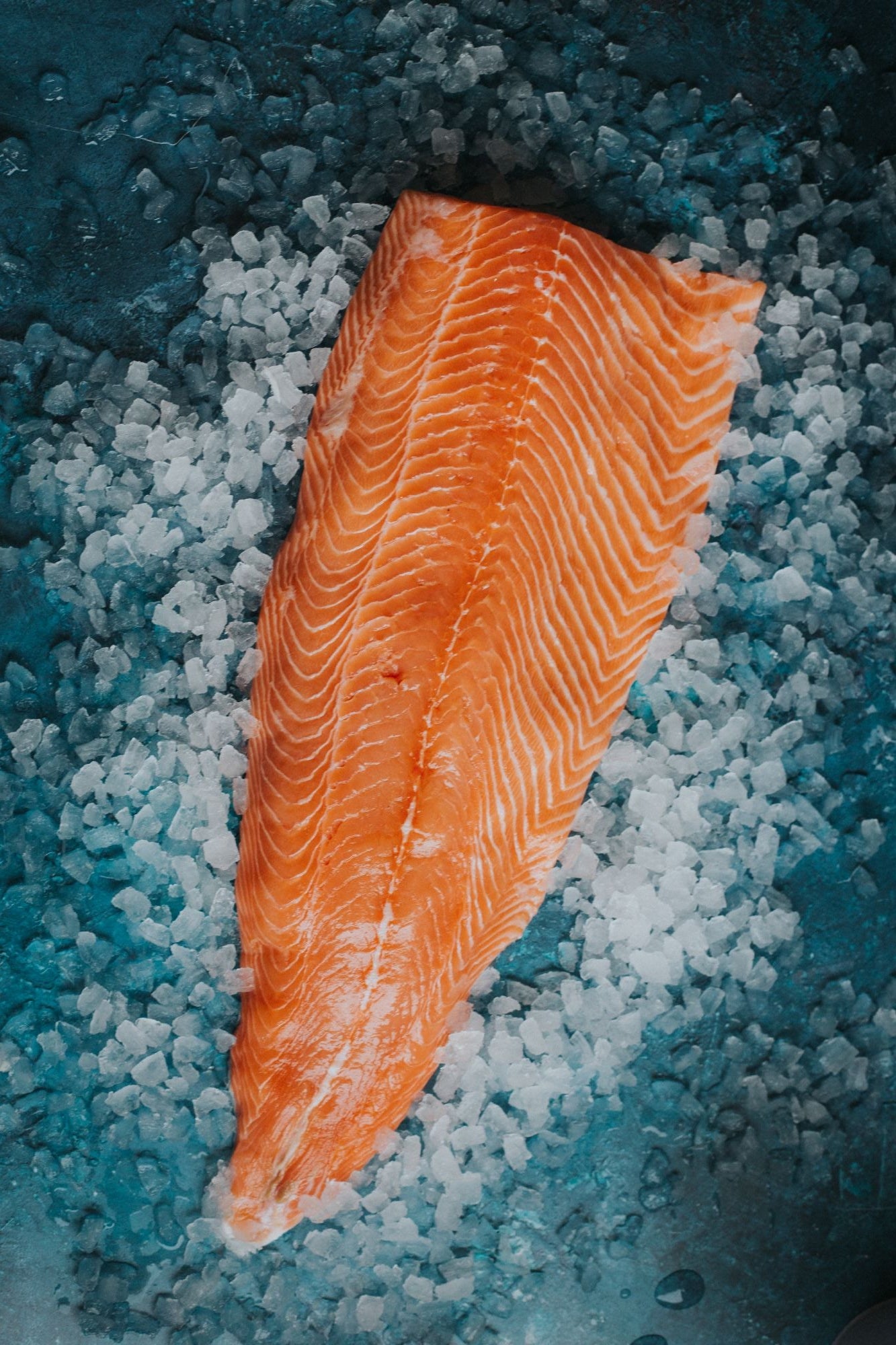 Side of Scottish Salmon